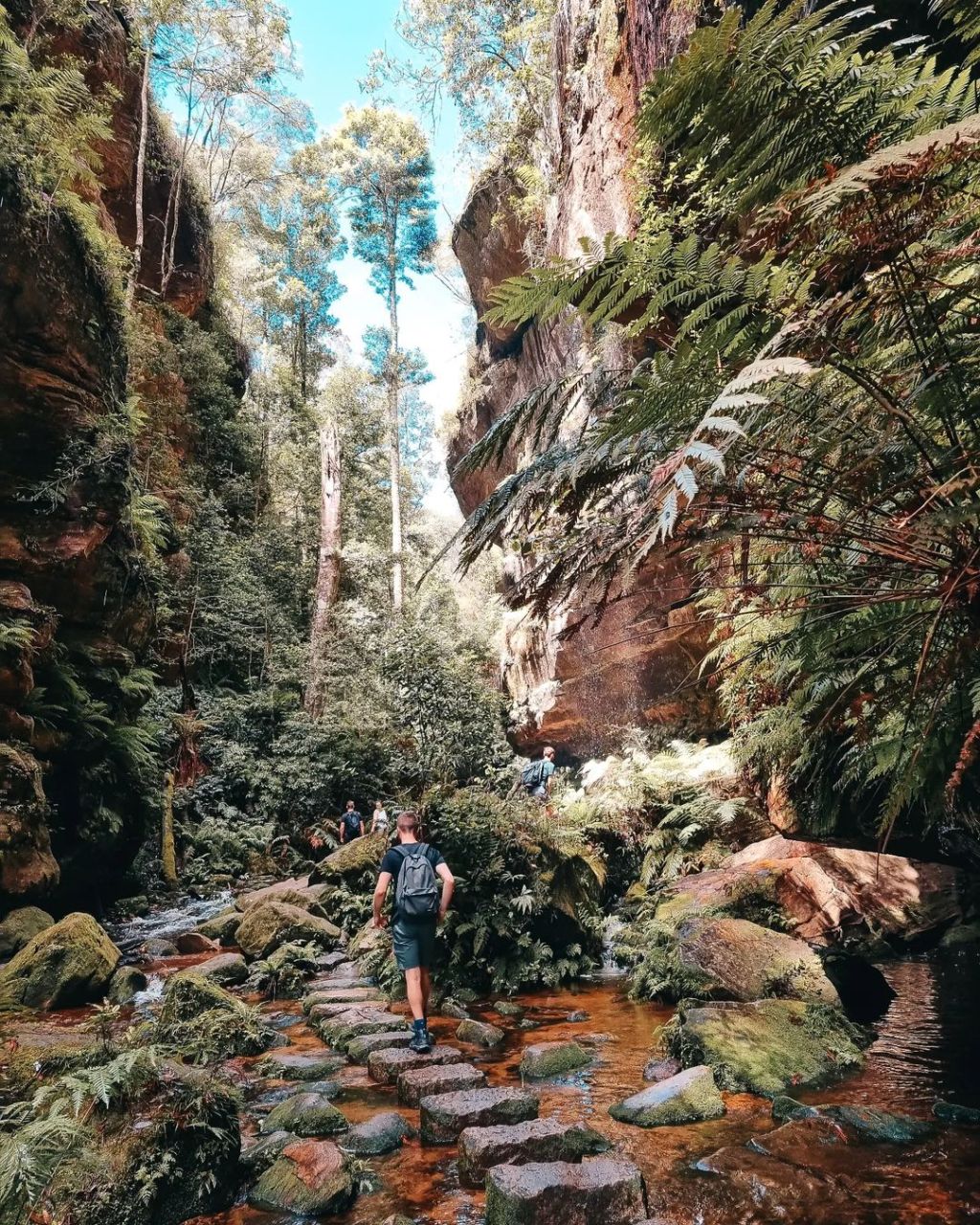 Moving to Blue Mountains? Here are the Top things to&nbsp;consider