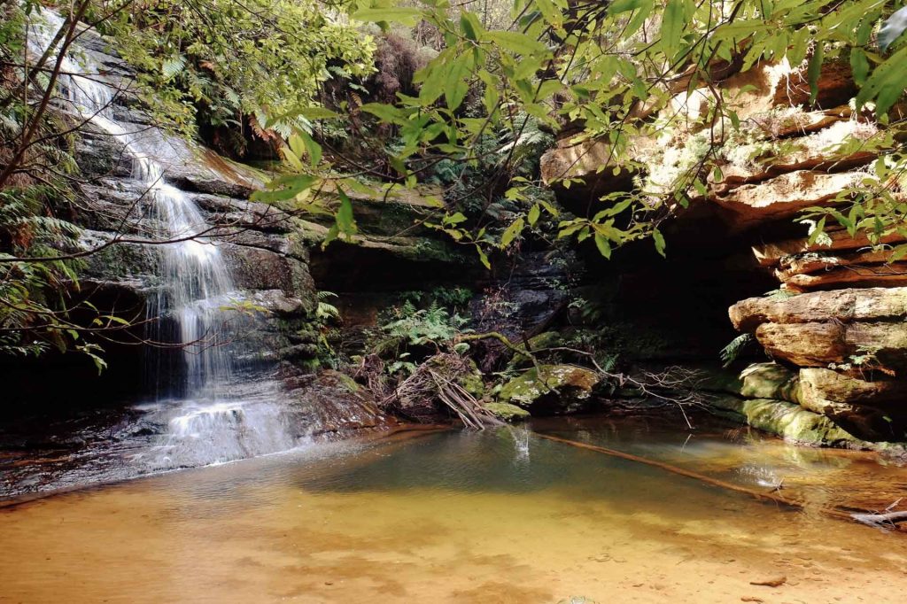 Pool of Siloam waterfall and sandstone rock pool at Leura Cascades, Blue Mountains National Park